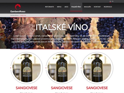 Web pro restauraci GamberoRosso